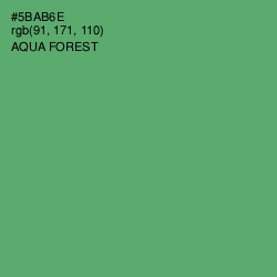 #5BAB6E - Aqua Forest Color Image